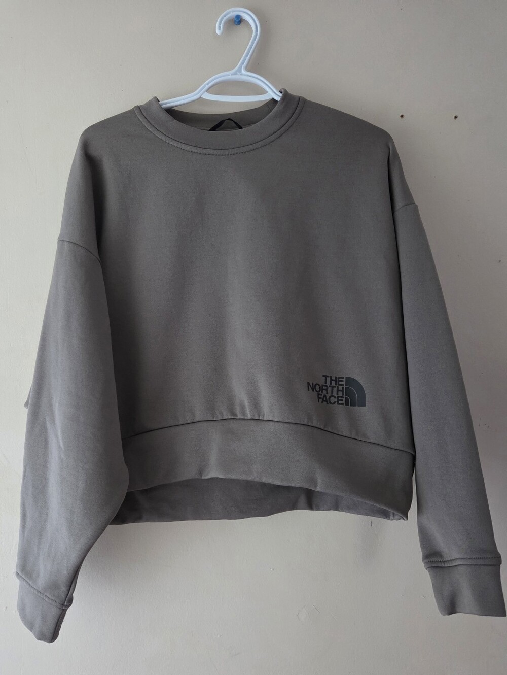 The North Face Horizon Performance Fleece Crew
